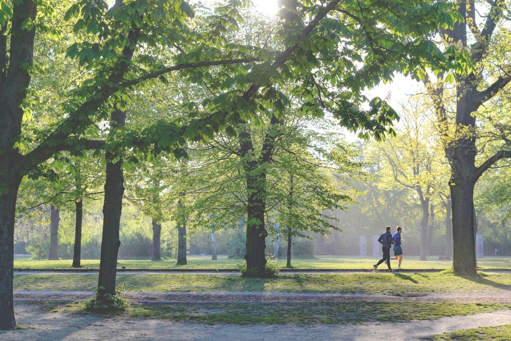 Jak przebiec 10 km? Poradnik