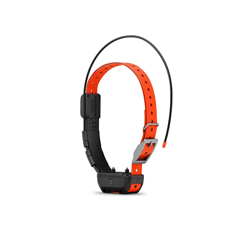 Garmin Alpha® TT 25 K Obroża do śledzenia i szkolenia psów